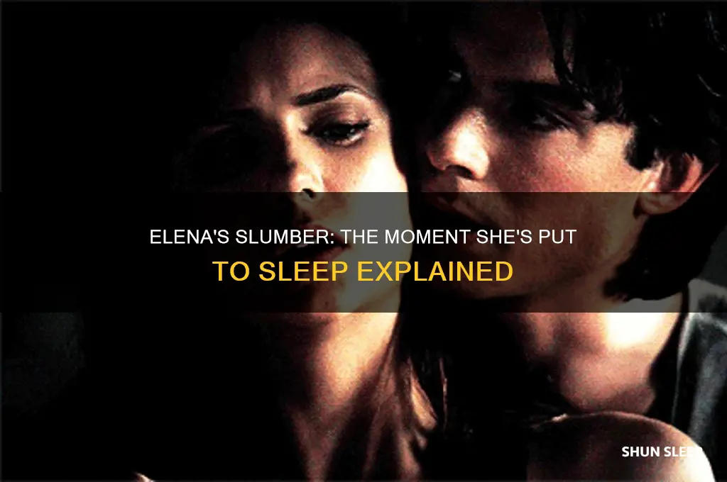 when does elena get put to sleep