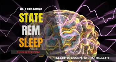 Understanding REM Sleep and the Gamma State