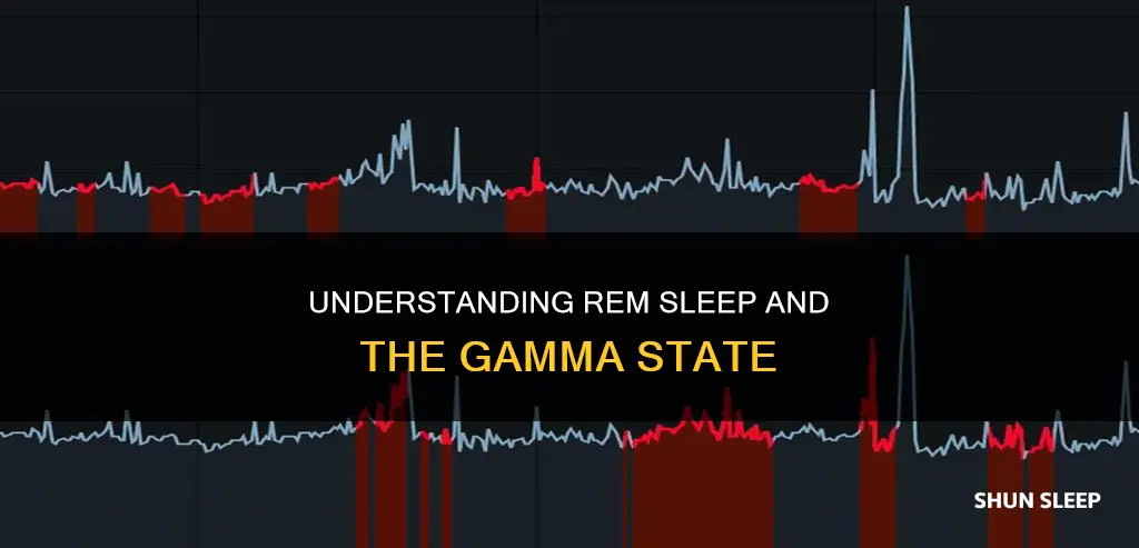 when does gamma state rem sleep