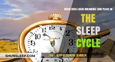 Exploring Lucid Dreaming in the Sleep Cycle