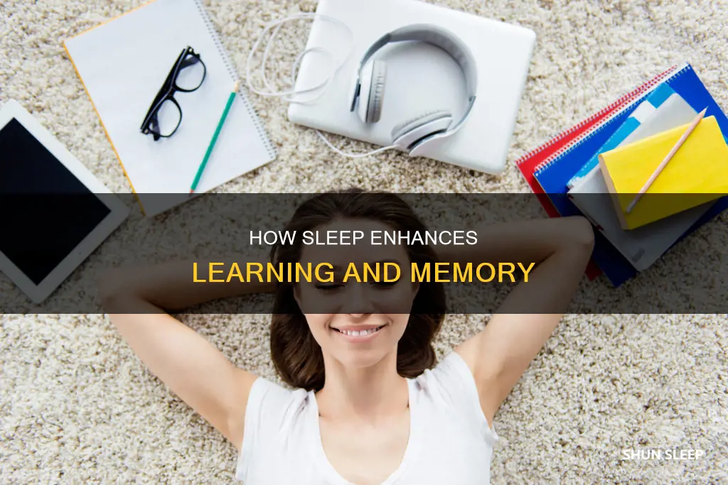 when does most learning take place while sleeping