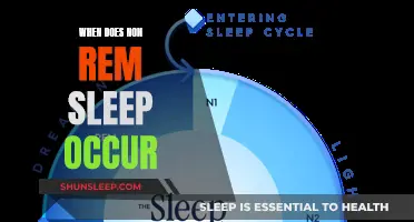 Non-REM Sleep: When Does It Occur?