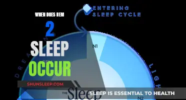 Understanding REM Sleep: The Second Stage of Sleep