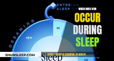 Understanding REM Sleep: Timing and Its Importance