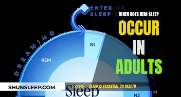 Understanding REM Sleep: Adult Cycles Explored