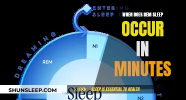 Understanding REM Sleep: Timing and Stages Explained