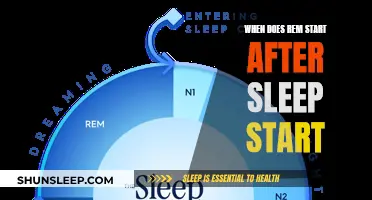 Sleep and REM: Understanding the Timing and Sequence