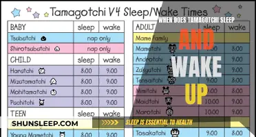 Tamagotchi's Sleep Schedule: When Your Pet Needs Rest