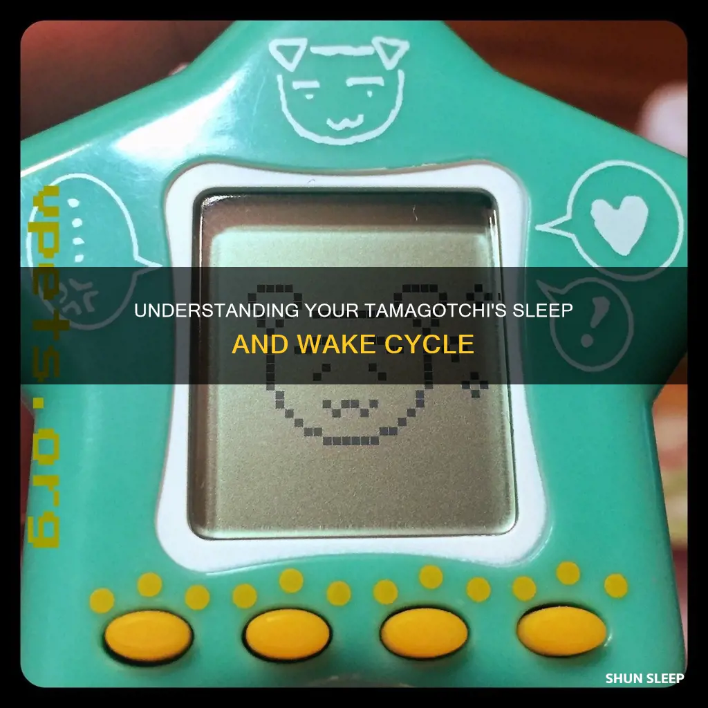 when does tamagotchi sleep and wake up