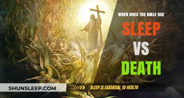 Sleep and Death: Biblical Interpretations of Life and Afterlife