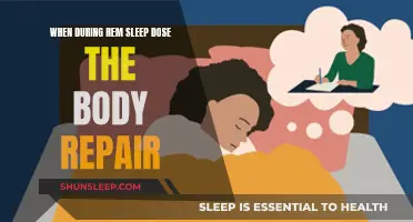 The Body's Repair Mode: REM Sleep's Healing Power