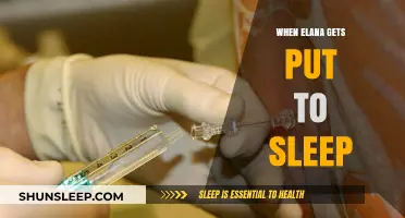 Elana's Journey: Understanding the Process of Being Put to Sleep