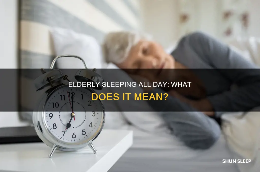 when elderly begin to sleep all day