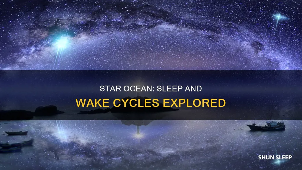 when i sleep and when i wake star ocean