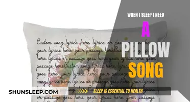 The Comfort of Sleep: A Pillow's Song