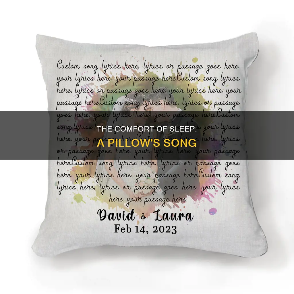 when i sleep i need a pillow song
