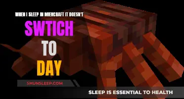 Minecraft Sleep Glitch: Stuck in Perpetual Night