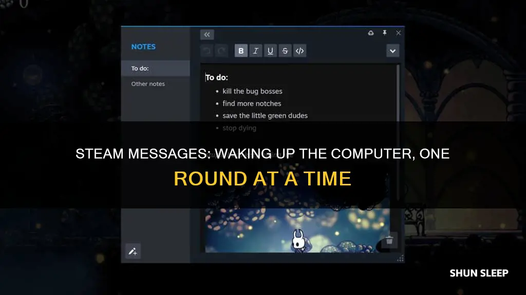 when i wake compuiter from sleep rounds steam message open