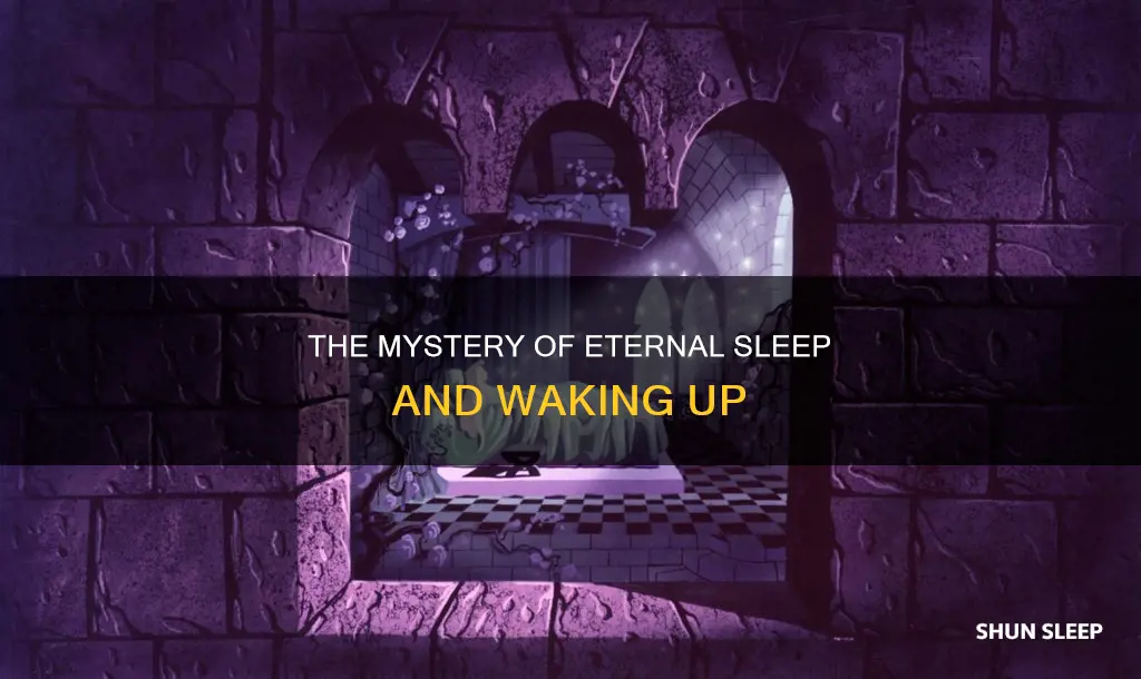 when i wake to sleep no more