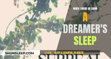 Awakening from the Dream Realm: Navigating the Transition from Slumber to Reality