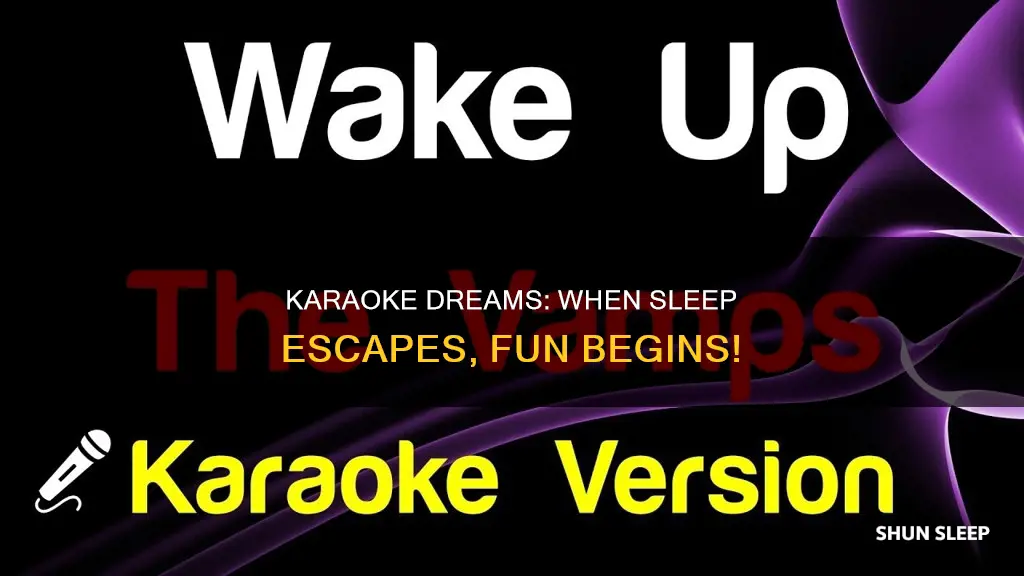 when i wake up to sleep no more karaoke