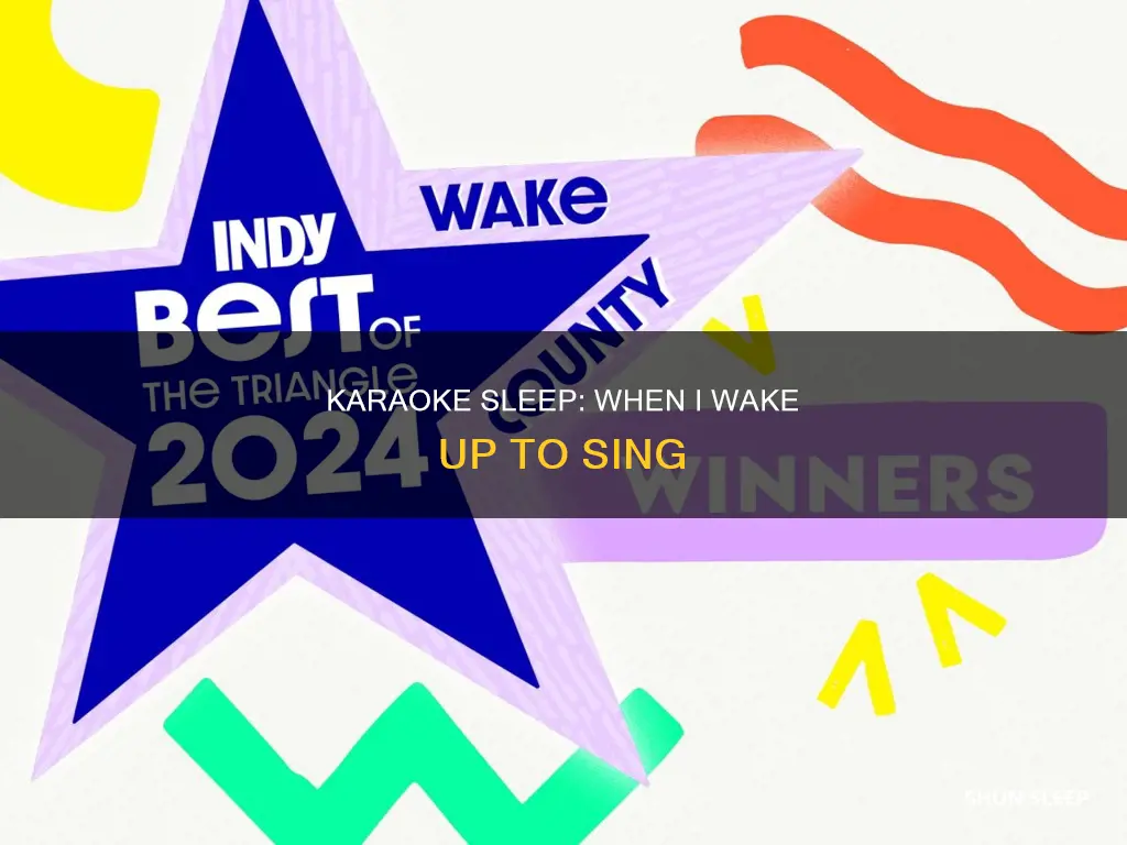 when i wake up to sleep no more karaoke