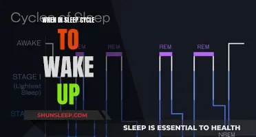 Optimal Time to Wake Up: Navigating the Sleep Cycle