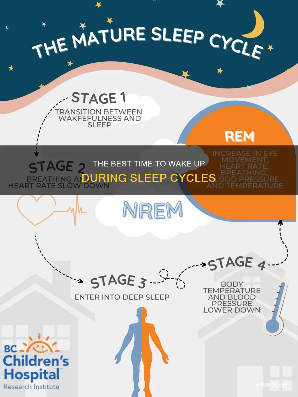 when in sleep cycle to wake up
