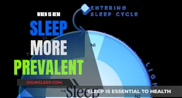 Understanding REM Sleep Prevalence: Timing and Duration