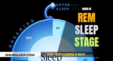 Understanding REM Sleep: Timing and Stages Explained