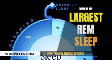 REM Sleep: The Peak Hours of Our Slumber