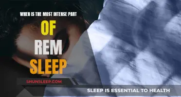 REM Sleep's Intense Phase: Timing and What Happens