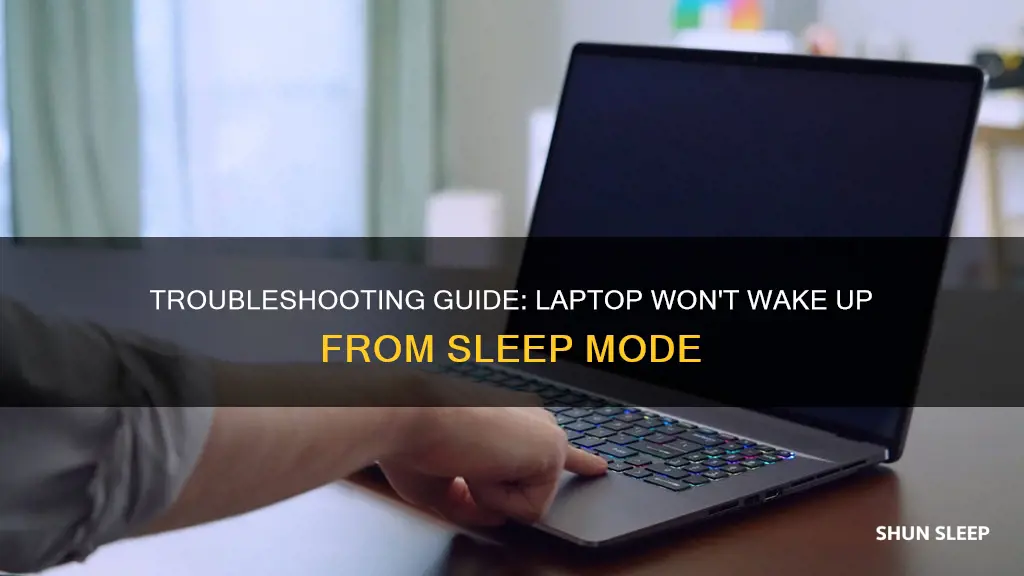 when lap top sleeps it wont wake up