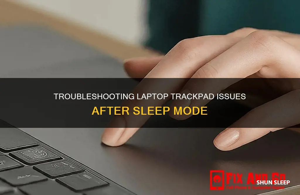 when laptop wakes from sleep trackpad does not respond