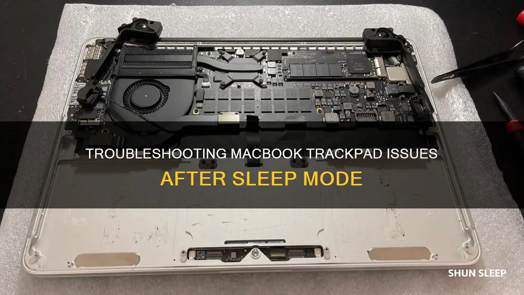 when macbook wakes from sleep track pad wont work