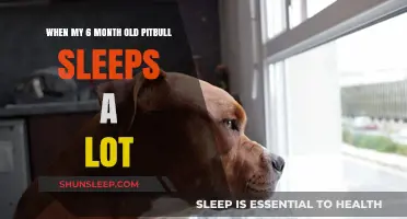 Pitbull Puppy Napping: Is It Normal?