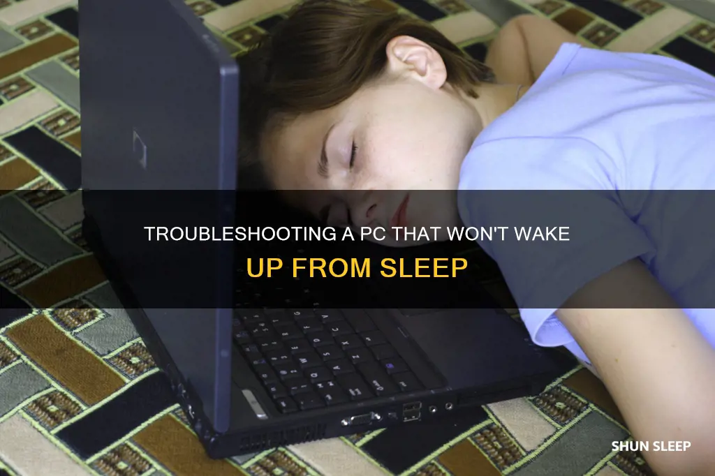 when my pc sleep it won