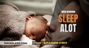 Newborn Sleep: Understanding Your Baby's Sleep Patterns