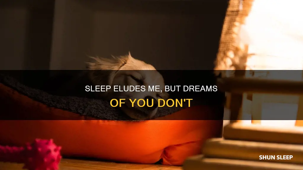 when one day i will sleep inu jun