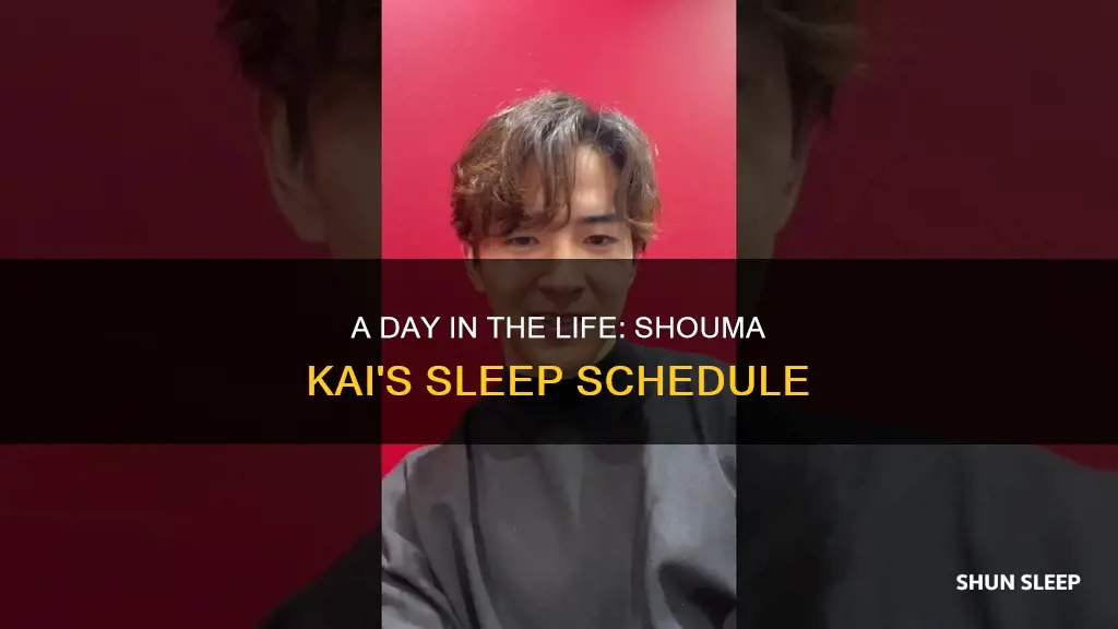 when one day i will sleep shouma kai