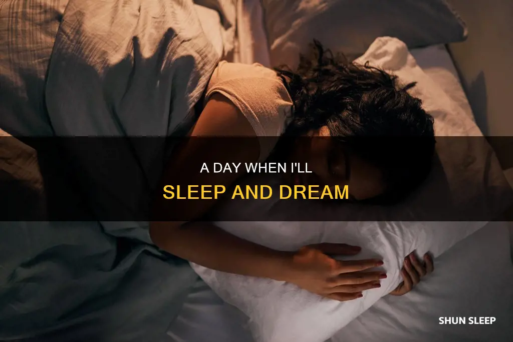 when one day i will sleep wiki