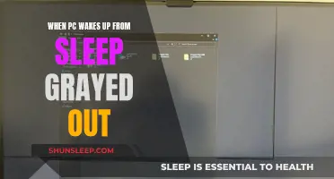 Troubleshooting: Grayed-Out Sleep Option When PC Wakes Up