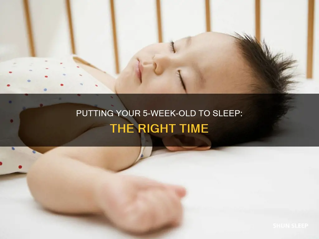 when should i out a 5 week old to sleep