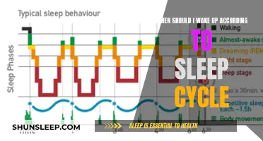 Optimize Your Wake-Up Time: Understanding Sleep Cycles