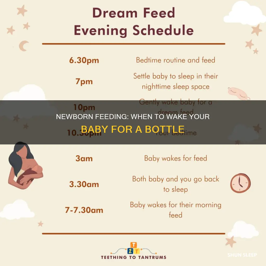 when should you wake a sleeping newborn to feed