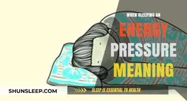 Exploring the Energy Pressure Meaning in Sleep