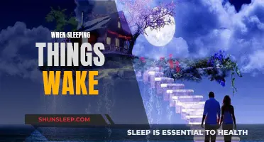 The Awakening: When Sleep's Secrets Unfold