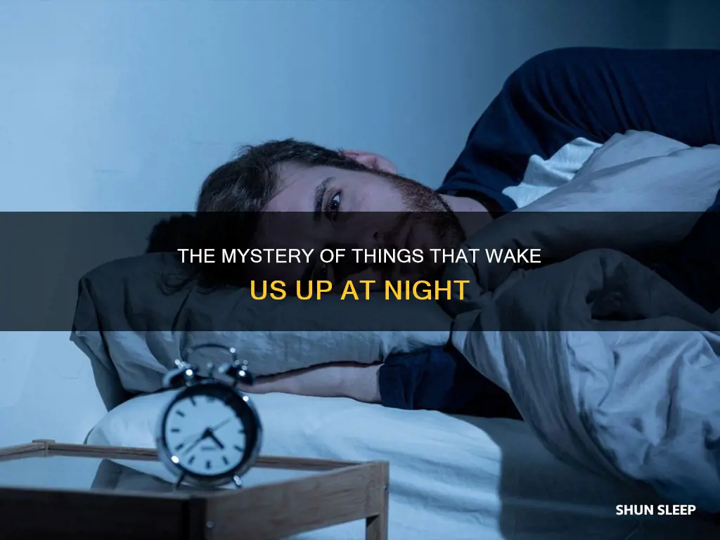 when sleeping things wake