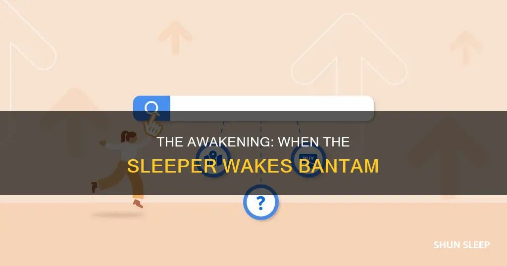 when the sleeper wakes bantam