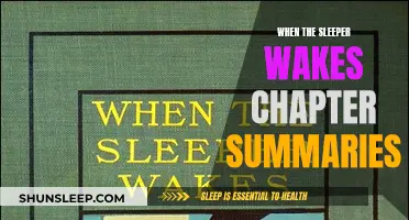 The Awakening: Chapter Summaries of When the Sleeper Wakes